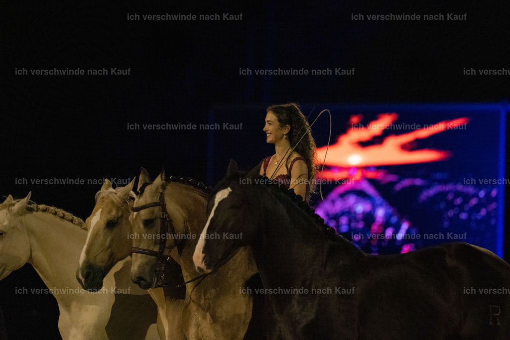 FHClassics-351 | working equitationturnier fotograf videograf stoibphotography marixx film working equitation deutschland reitsport turnierfotografie eventfotografie equestrian events