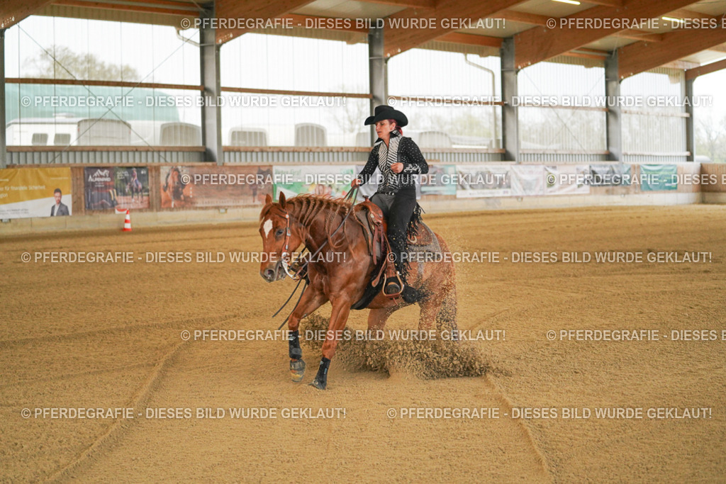 DSC08426 | Pferdegrafie