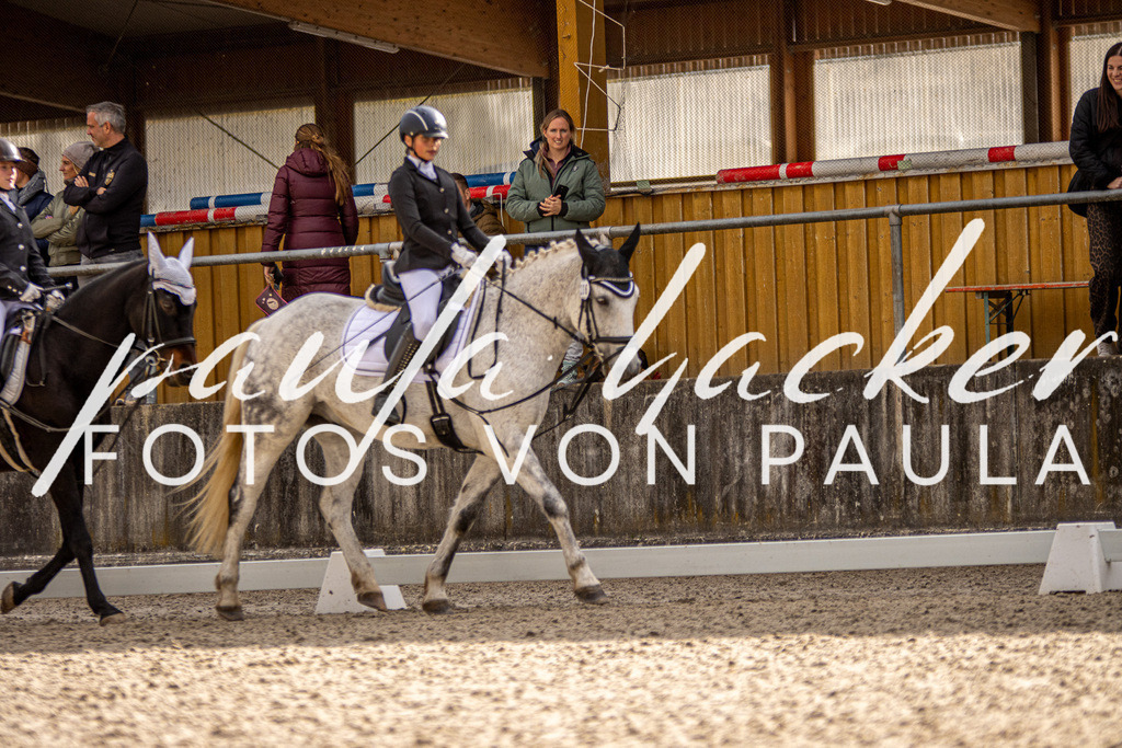 IMG_3741 | Erleben Sie dynamische Sport- und emotionale Tierfotografie in Süddeutschland mit Fotos von Paula. Spezialisiert auf Pferde- und Hundefotografie sowie Sportevents. Kontaktieren Sie mich für einzigartige und ausdrucksstarke Bilder Ihrer besonderen Momente. - Realisiert mit Pictrs.com