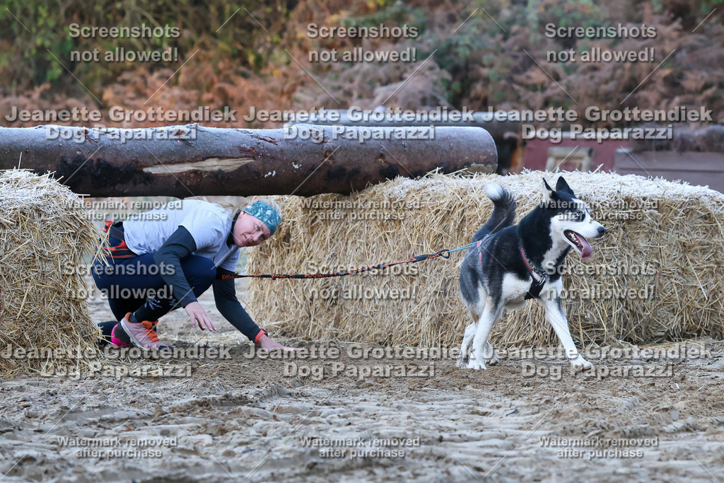 Dog Paparazzi - Strongdog 10-25-282 | Dog Paparazzi Jeanette Grottendiek Fotografie & Videografie - Realisiert mit Pictrs.com