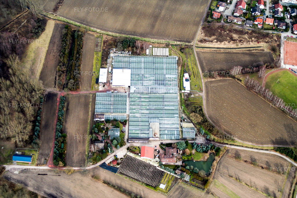 Luftbild: Geraniengärtnerei in Hagenbach im Bundesland Rheinland-Pfalz in Deutschland. Foto: IMG_1113.jpg vom 19.02.2006 durch Werner Riehm/FLY-FOTO.de