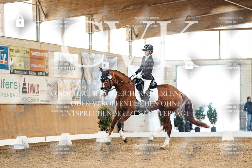 CK909044 | Turnierfotografie Pferdefotografie Trier Rheinland-Pfalz Pferdesport Reitsport Tierfotografie Sportfotografie Pferdevideo Pferdevideografie Equestrianvideography equestrianphotography  - Realisiert mit Pictrs.com