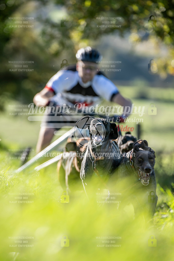 MompixPhotography_20TSB_E3_Kart-7 | PayLife