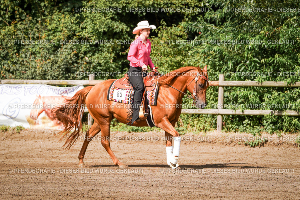 DSC09423 | Pferdegrafie