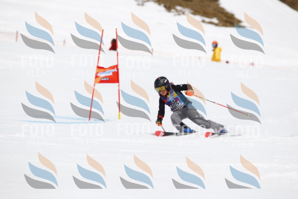 _U3G5797 | holidayphoto