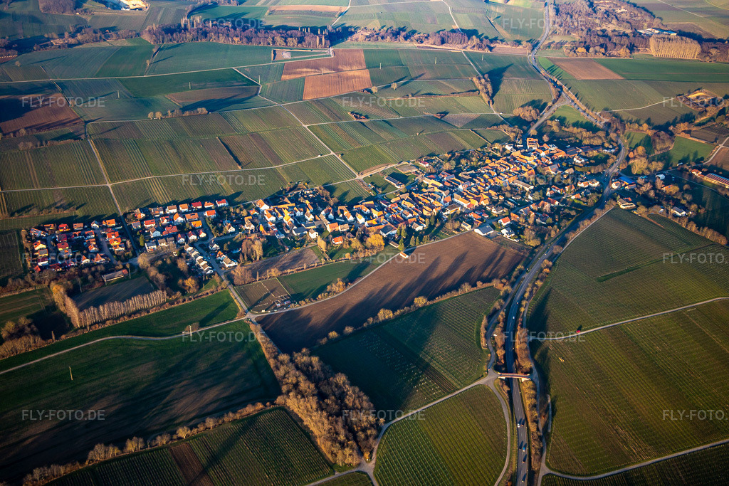 Luftbild: Ortsansicht von Südwesten in Niederhorbach im Bundesland Rheinland-Pfalz in Deutschland. Foto: IMG_135935.jpg vom 13.02.2023 durch Werner Riehm/FLY-FOTO.de