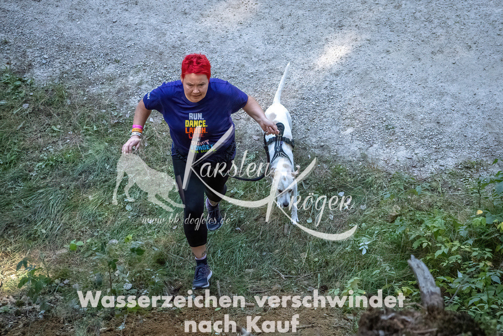 1146_ZZ92011 | kk-dogfotos