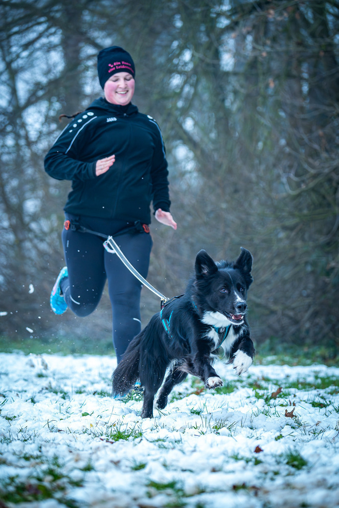 allesWIRTHgut Tierfotografie - 7IV07616-Verbessert-RR | Professionelle Tierfotografie in Mönchengladbach von Daniel Wirth (allesWIRTHgut). Liebevolle & natürliche Bilder von Hunden & Katzen für unvergessliche Erinnerungen.