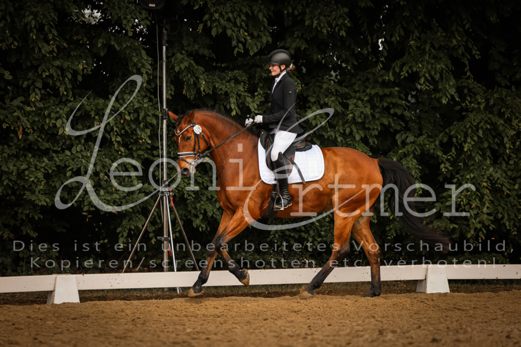 DoDrA200092 | Leoni Ertmer Photography - Realisiert mit Pictrs.com