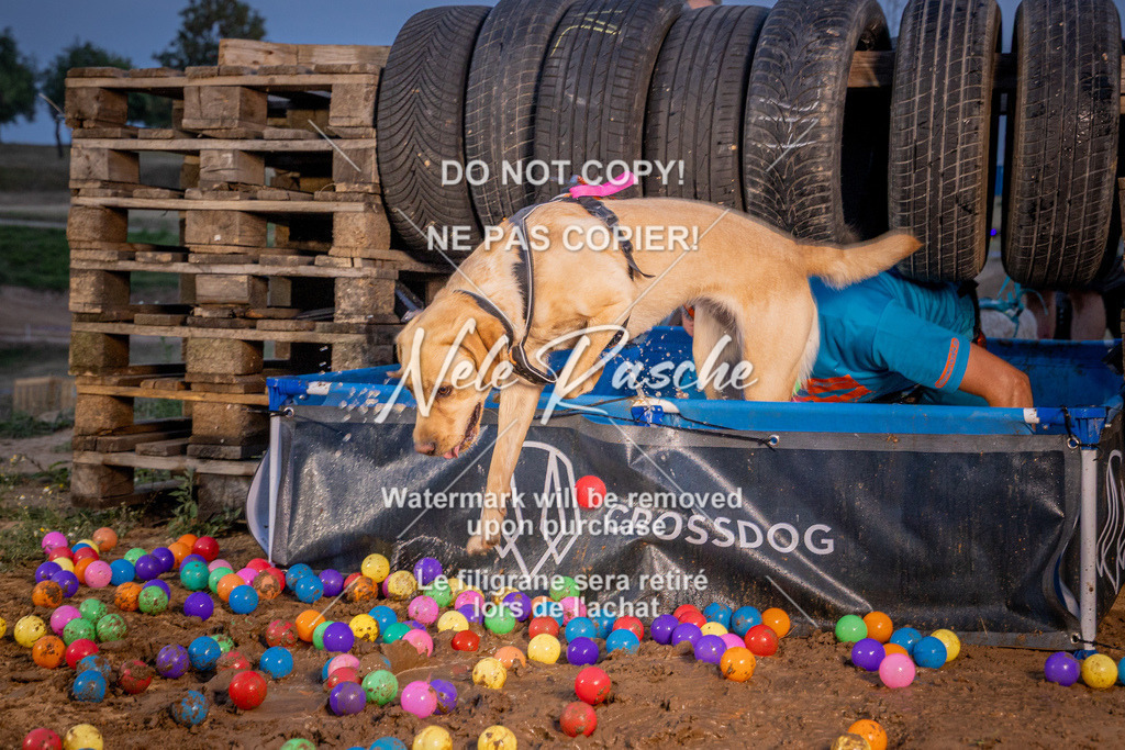 nelerasche_SummerNights26_Sa2100-2130_154 | nelerasche