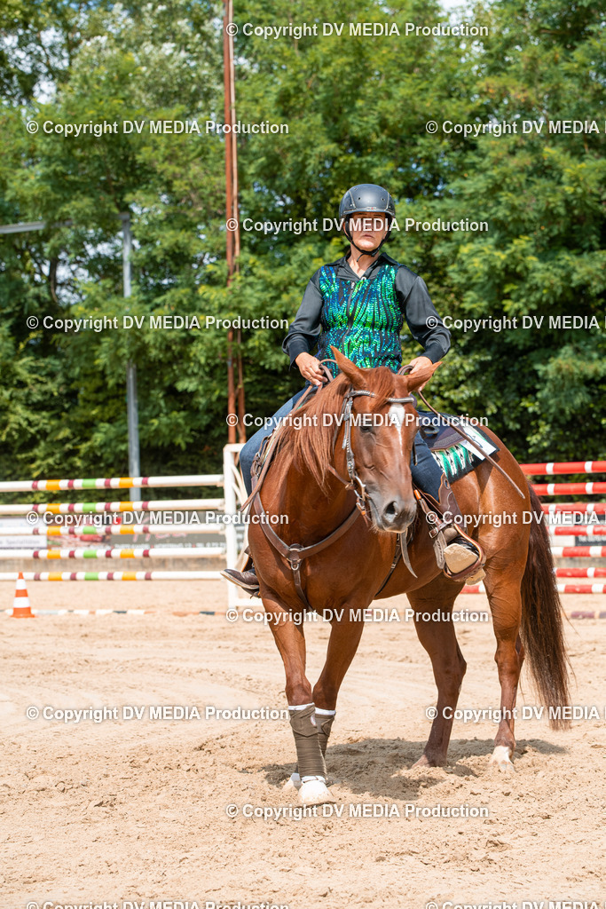 ZS3_9595 | dv-media-shop - Realisiert mit Pictrs.com