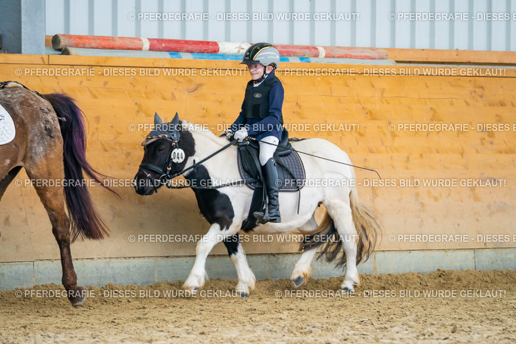 DSC01304 | Pferdegrafie