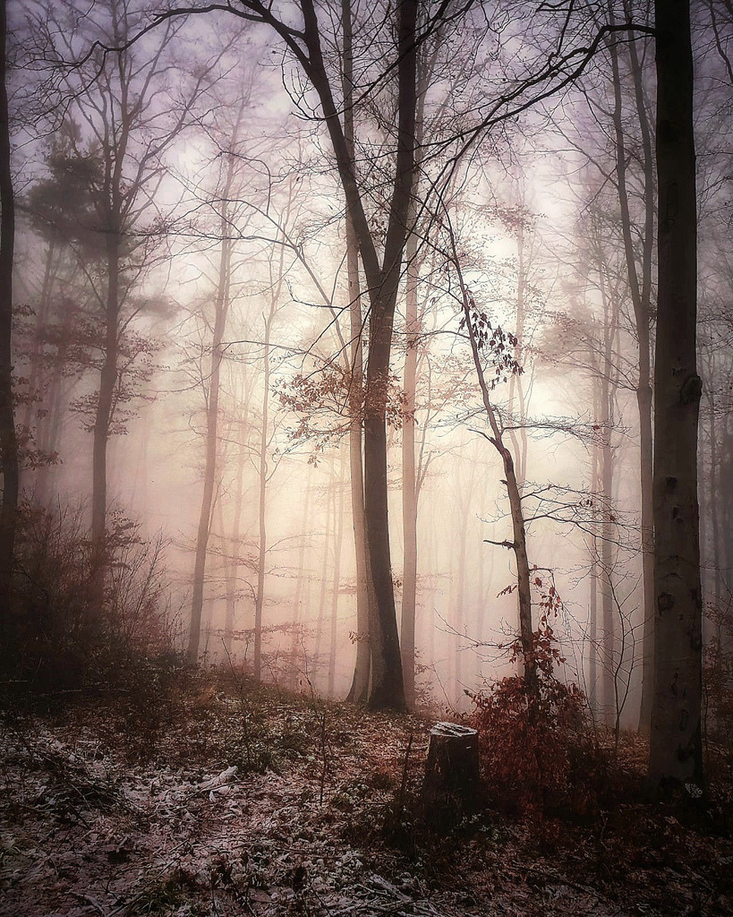 20220923172402IMG-20220729-WA0028-01 (2)-2 | Kaufen sie online außergewöhnliche Fotografien auf Leinwand Acrylglas Fotoprint Aludibond von holgerweigeltfotografie - Realisiert mit Pictrs.com