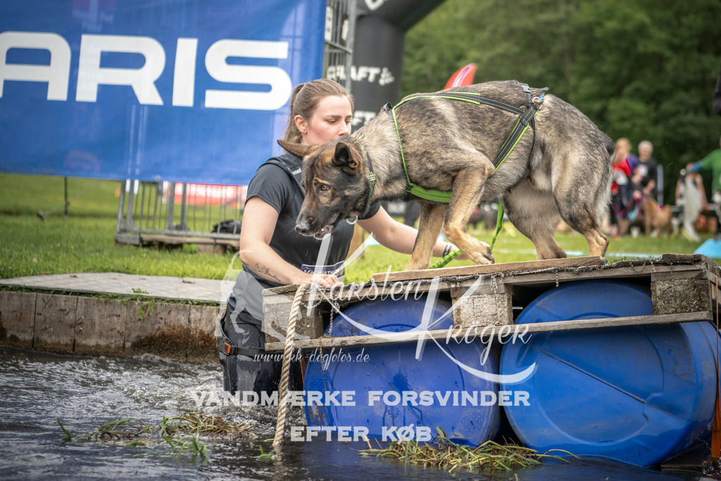 1002_ZZ93772 | kk-dogfotos