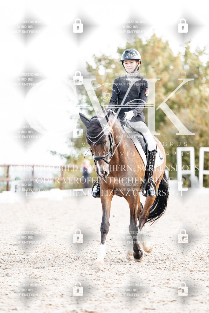 CK901698 | Turnierfotografie Pferdefotografie Trier Rheinland-Pfalz Pferdesport Reitsport Tierfotografie Sportfotografie Pferdevideo Pferdevideografie Equestrianvideography equestrianphotography  - Realisiert mit Pictrs.com