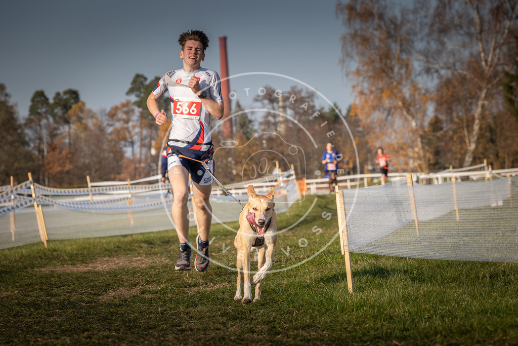 CaniXpix_0L8A9531 | Hundefotografie, Tierfotograf, Pfotenfotografie, Fotoshooting Hund, Hunde Portrait, Hundesport, Hundeportraits, Heideshooting, Hunde, Sportfotograf, Hundefotograf, Turnierhundsport, THS,  - Realisiert mit Pictrs.com