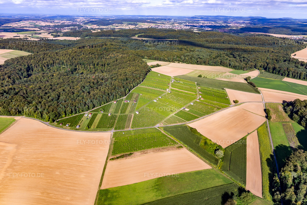 Luftbild: Hasensprung (Weinbau) im Ortsteil Jöhlingen in Walzbachtal im Bundesland Baden-Württemberg in Deutschland. Foto: IMG_093420.jpg vom 22.08.2016 durch Werner Riehm/FLY-FOTO.de