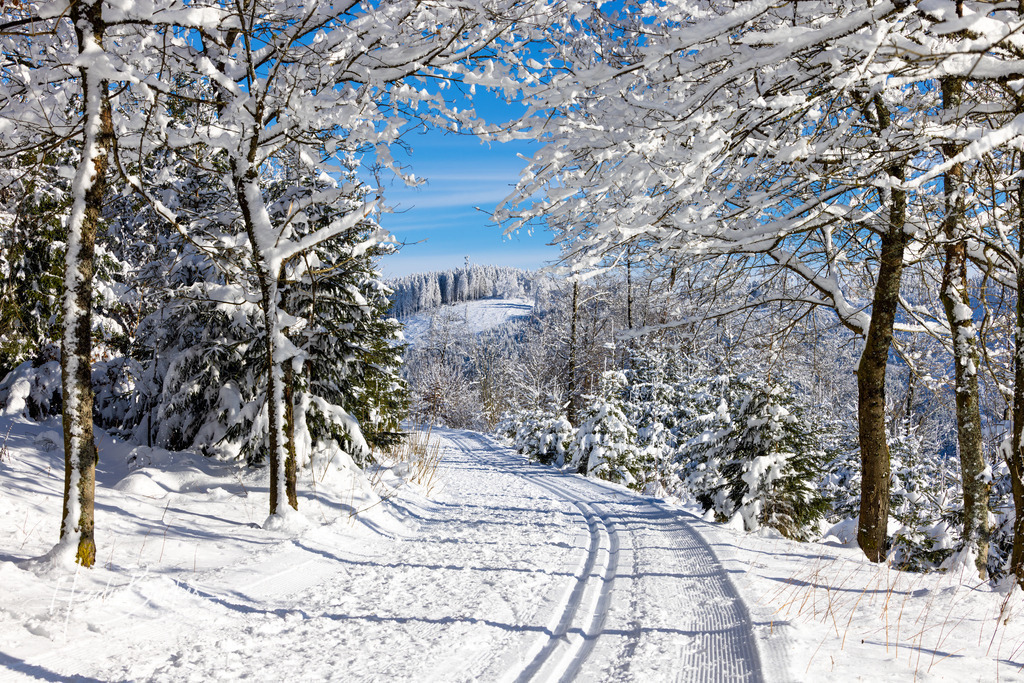 Loipe auf dem Hohen Knochen | Loipe auf dem Hohen Knochen bei Schmallenberg - Realisiert mit Pictrs.com