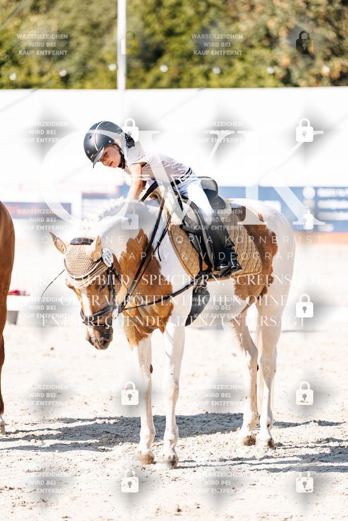 CK903344 | Turnierfotografie Pferdefotografie Trier Rheinland-Pfalz Pferdesport Reitsport Tierfotografie Sportfotografie Pferdevideo Pferdevideografie Equestrianvideography equestrianphotography  - Realisiert mit Pictrs.com