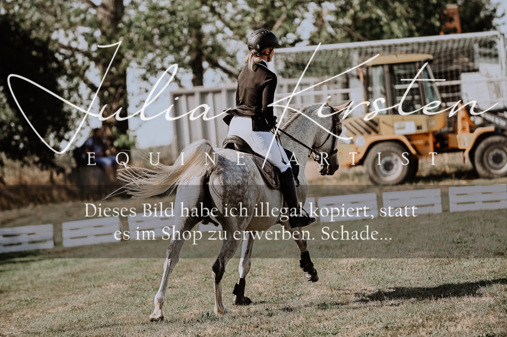 DSC_9494 | Pferde- und Turnierfotografie in Westsachsen. Pferdeportraits, Auftragszeichnungen und intuitive Kunst.