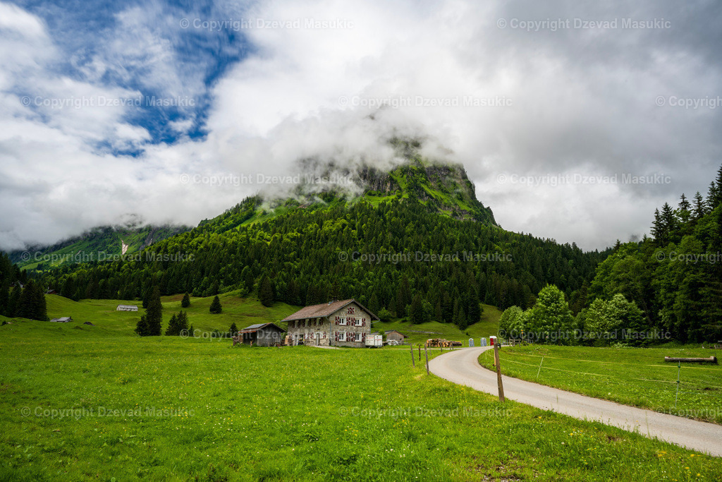 DSC_1261 | Ich fotografiere Landschaften, Produkte und erstelle für Sie Firmenportraits. Engagieren Sie mich für den nächsten Projekt. - Realisiert mit Pictrs.com