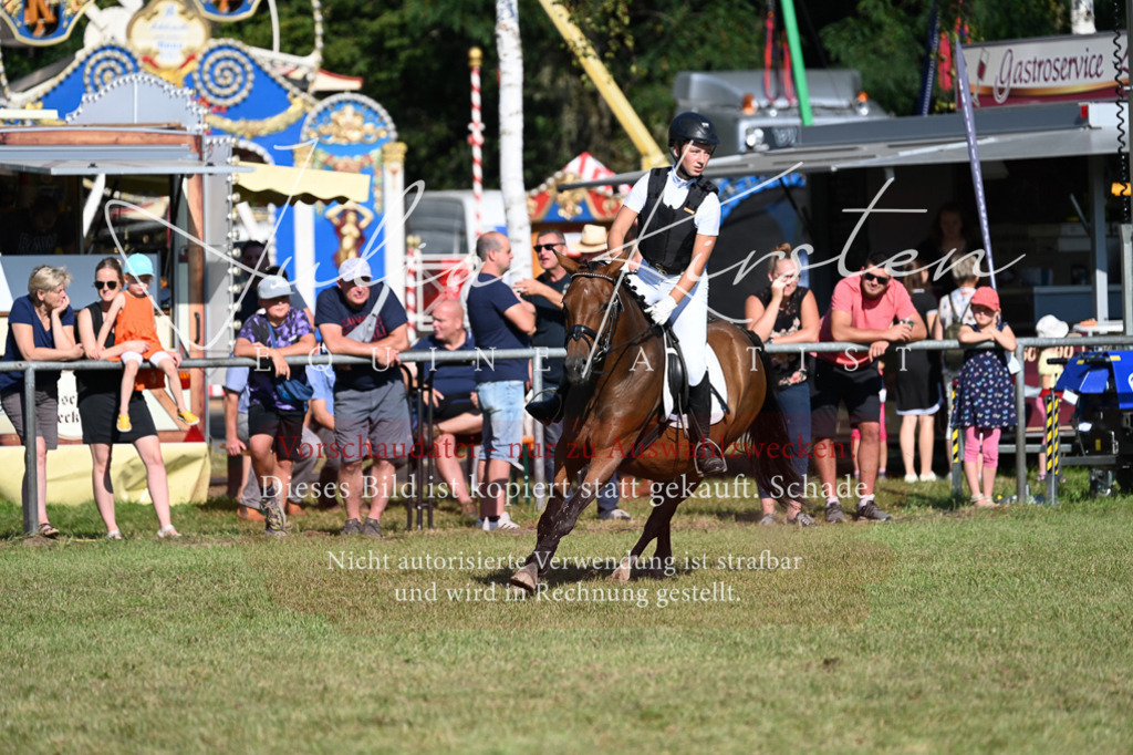 DSC_5315 | Pferde- und Turnierfotografie in Westsachsen. Pferdeportraits, Auftragszeichnungen und intuitive Kunst.