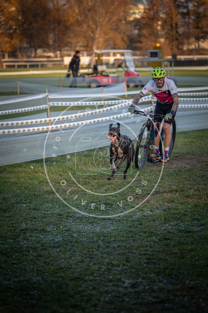 CaniXpix_0L8A1426 | Hundefotografie, Tierfotograf, Pfotenfotografie, Fotoshooting Hund, Hunde Portrait, Hundesport, Hundeportraits, Heideshooting, Hunde, Sportfotograf, Hundefotograf, Turnierhundsport, THS,  - Realisiert mit Pictrs.com