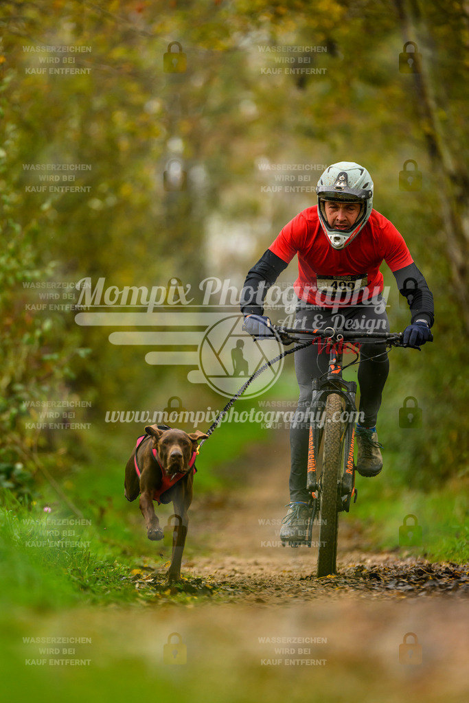 MompixPhotography_20TSB_E6_Bike-36 | PayLife