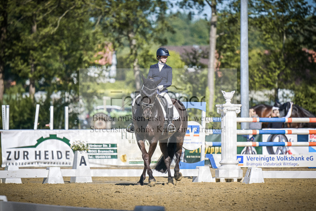 DOS_6727 | Entdecke hochwertige Reitturnierfotos von Foto Oger. Professionell, emotional und authentisch – jetzt Lieblingsmomente im Shop bestellen.Deutschlandweite Turnierfotografie. - Realisiert mit Pictrs.com