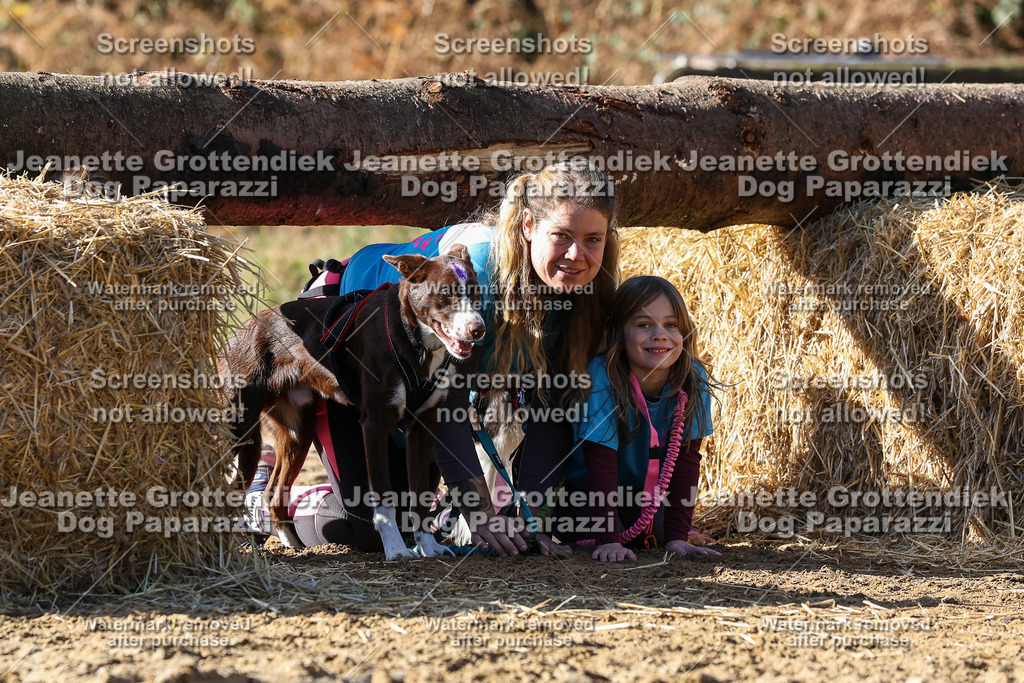 Dog Paparazzi - Strongdog 10-25-2946 | Dog Paparazzi Jeanette Grottendiek Fotografie & Videografie - Realisiert mit Pictrs.com