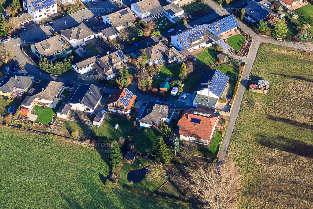Luftbild: Albert-Detzel-Straße in Herxheim bei Landau im Bundesland Rheinland-Pfalz in Deutschland. Foto: IMG_37142.jpg vom 22.01.2011 durch Werner Riehm/FLY-FOTO.de