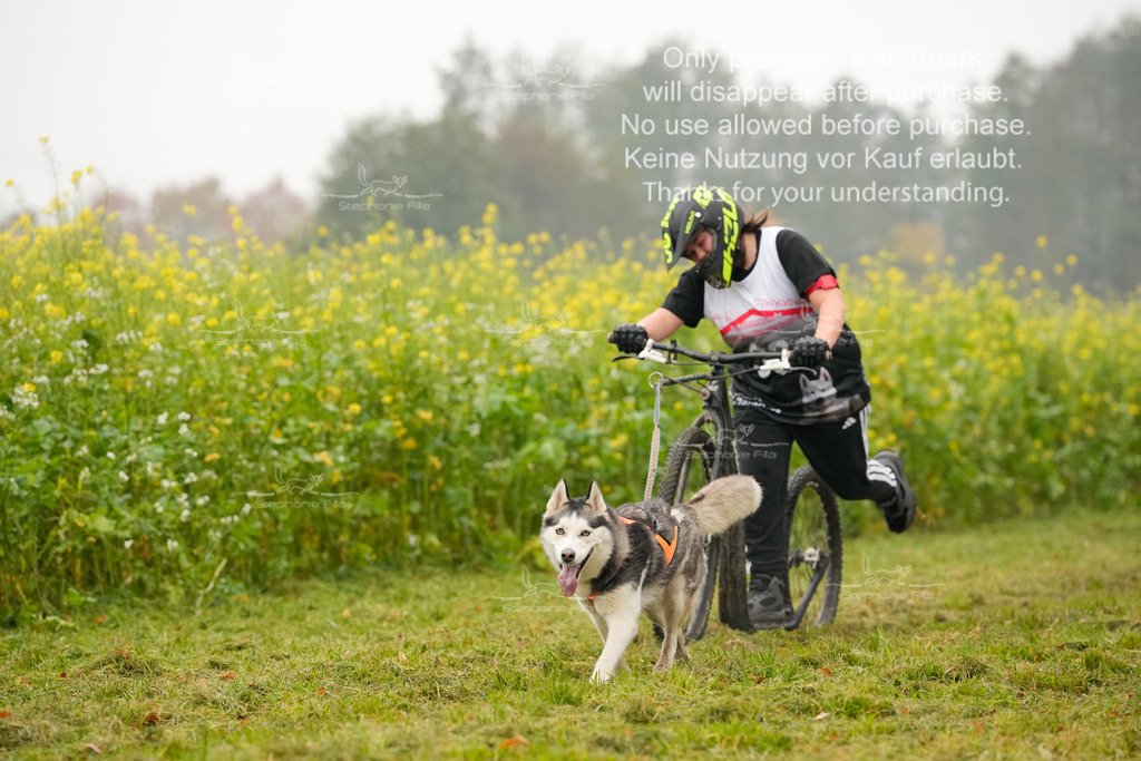 Visbeck_Sa_Scooter_Hc-183 | stephaniefillaphotographie - Realisiert mit Pictrs.com