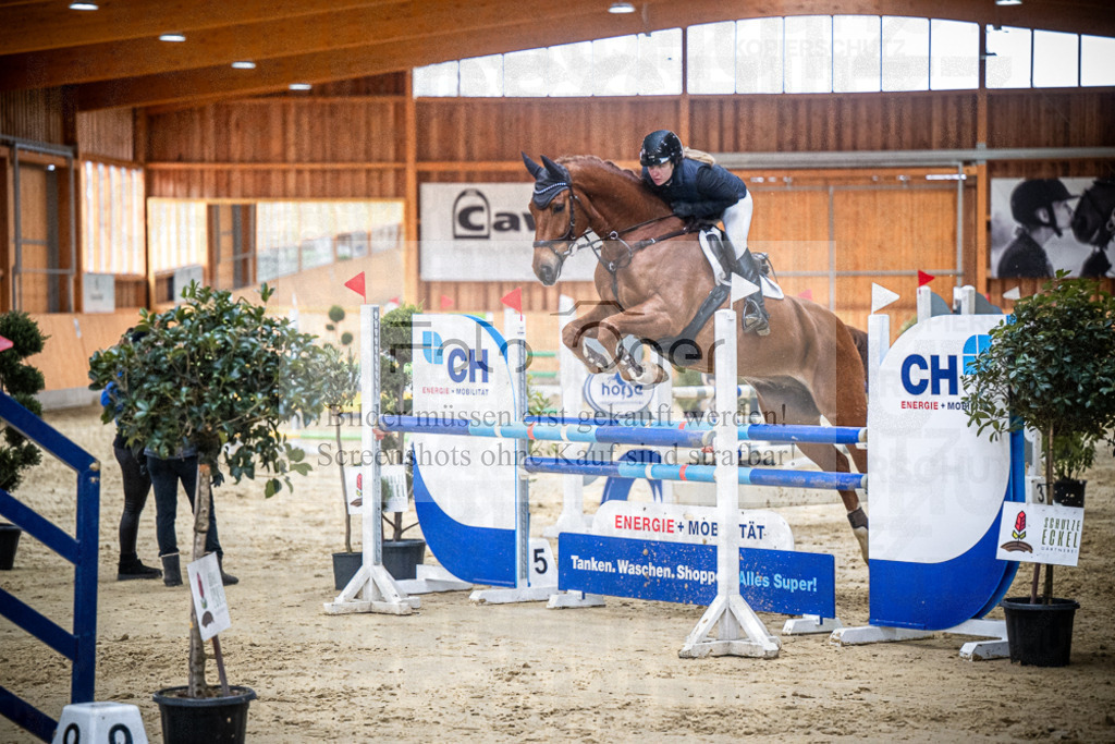 DOS_1124 | Entdecke hochwertige Reitturnierfotos von Foto Oger. Professionell, emotional und authentisch – jetzt Lieblingsmomente im Shop bestellen.Deutschlandweite Turnierfotografie. - Realisiert mit Pictrs.com