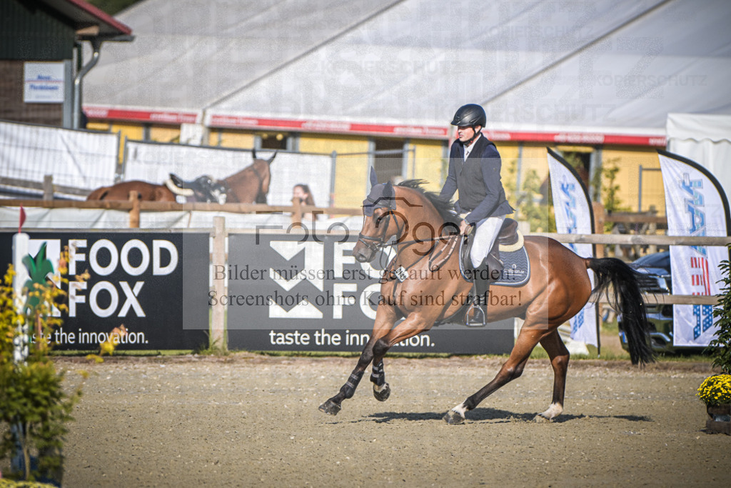 DOS_8596 | Entdecke hochwertige Reitturnierfotos von Foto Oger. Professionell, emotional und authentisch – jetzt Lieblingsmomente im Shop bestellen.Deutschlandweite Turnierfotografie. - Realisiert mit Pictrs.com