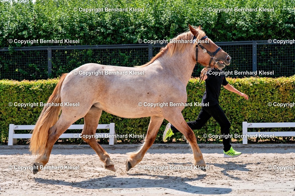 2A900577 | foto-team-bernhard - Realisiert mit Pictrs.com