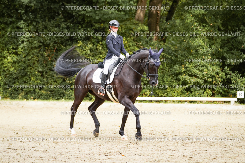 DSC00049 | Pferdegrafie