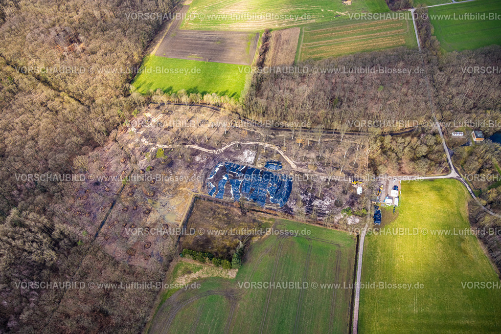 Hamm230214795 | Luftbild, Baumanpflanzung, im Wald am Beverbach, Stadtbezirk Pelkum, Hamm, Ruhrgebiet, Nordrhein-Westfalen, Deutschland