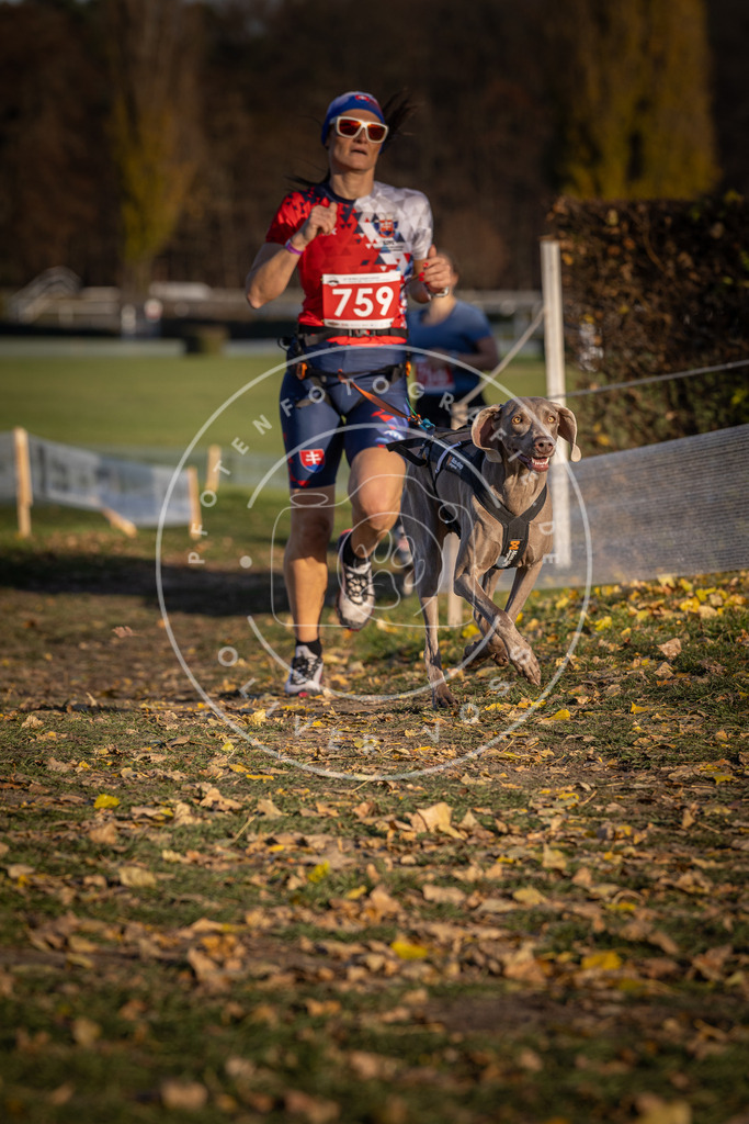 CaniXpix_DV3A2616 | Hundefotografie, Tierfotograf, Pfotenfotografie, Fotoshooting Hund, Hunde Portrait, Hundesport, Hundeportraits, Heideshooting, Hunde, Sportfotograf, Hundefotograf, Turnierhundsport, THS,  - Realisiert mit Pictrs.com
