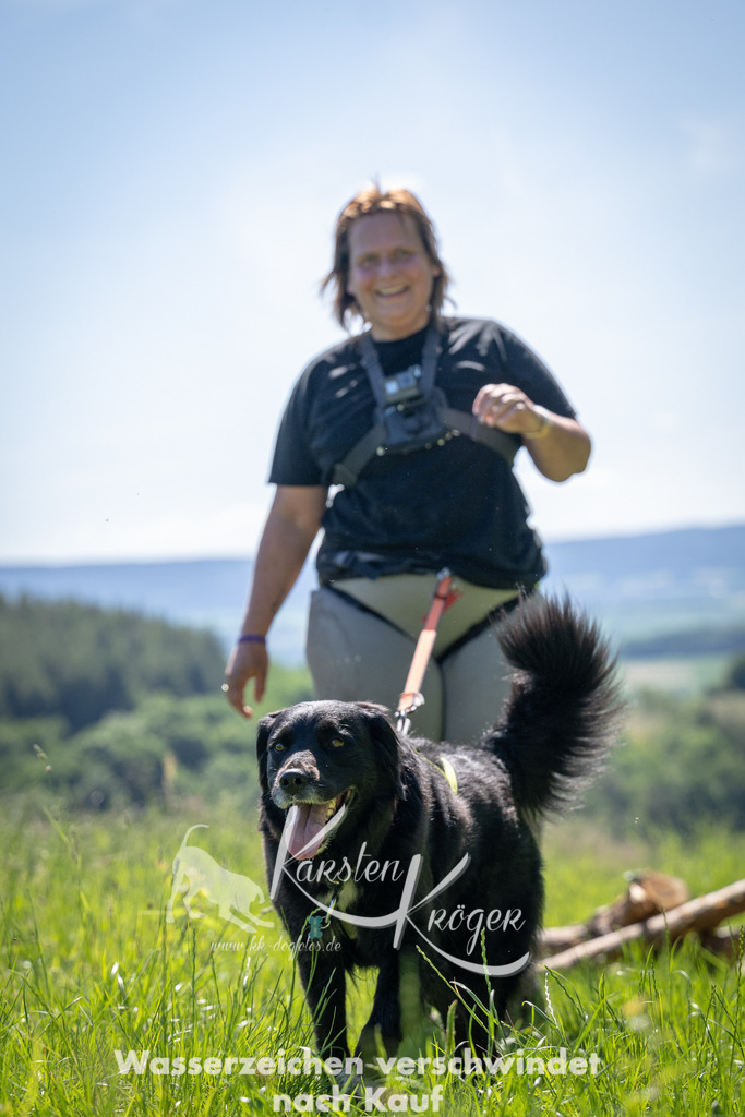 1041_ZZ93671 | kk-dogfotos