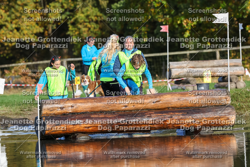 Dog Paparazzi - Strongdog 10-25-8457 | Dog Paparazzi Jeanette Grottendiek Fotografie & Videografie - Realisiert mit Pictrs.com