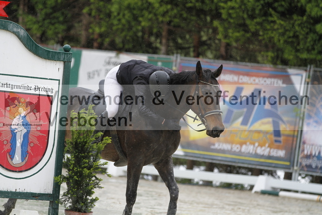 _MG_1142 | equestrian-live-com