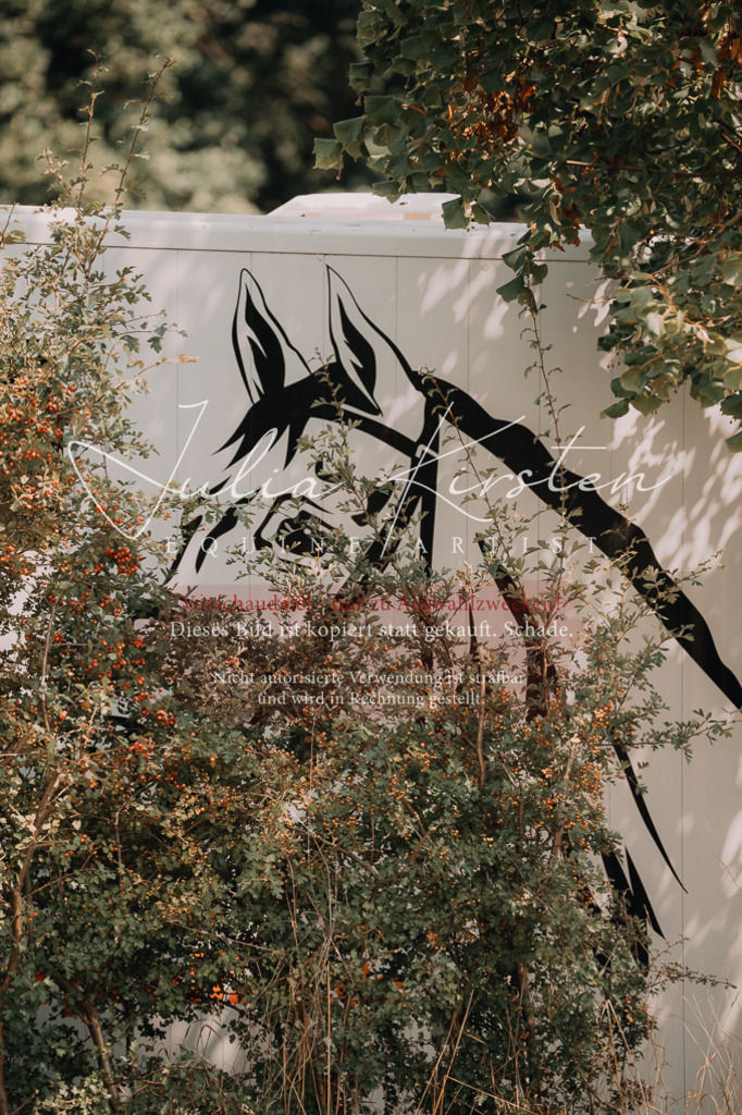 DSC_0570 | Pferde- und Turnierfotografie in Westsachsen. Pferdeportraits, Auftragszeichnungen und intuitive Kunst.