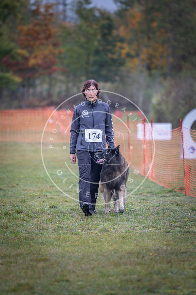 Pfotenfotografie_DV3A9236 | Hundefotografie, Tierfotograf, Pfotenfotografie, Fotoshooting Hund, Hunde Portrait, Hundesport, Hundeportraits, Heideshooting, Hunde, Sportfotograf, Hundefotograf, Turnierhundsport, THS,  - Realisiert mit Pictrs.com
