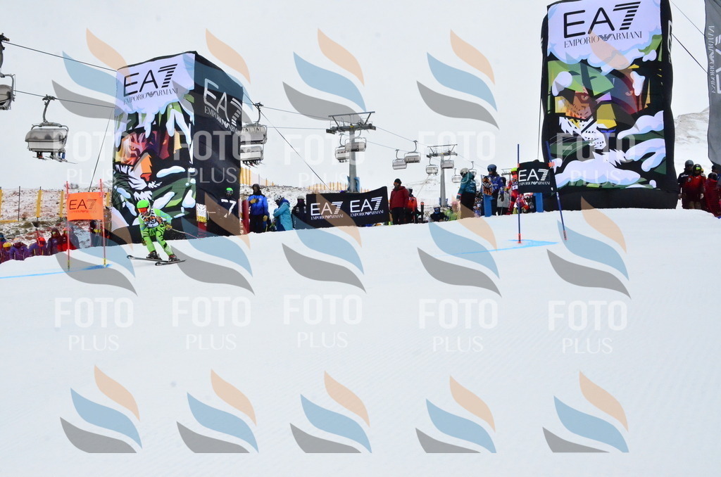 _ELE3101 | holidayphoto