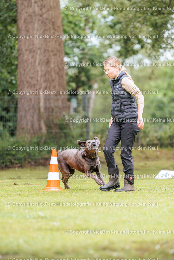 RO-Blumenthal-2026-Nickbest-Hundefotografie-1075 | Dein Hund! Dein Moment! Deine Erinnerungen! Hundefotografie in Bremen Blumenthal. Ich fange die besonderen Momente deines Vierbeiners ein – ob Indoor mit Blitzanlage oder in der freien Natur. Sicher dir dein Moment und dein Termin für eure Erinnerungen.