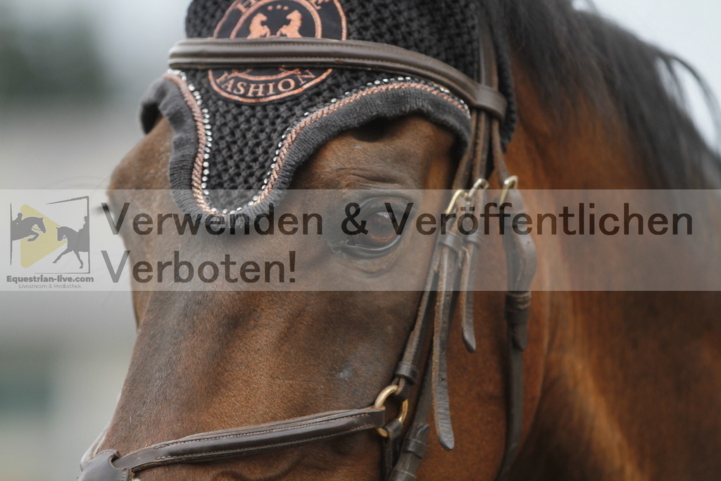 _MG_8362 | equestrian-live-com