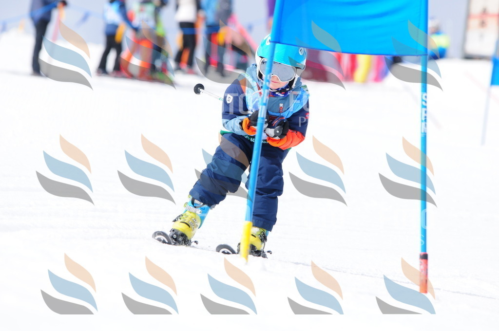 A3708 | holidayphoto