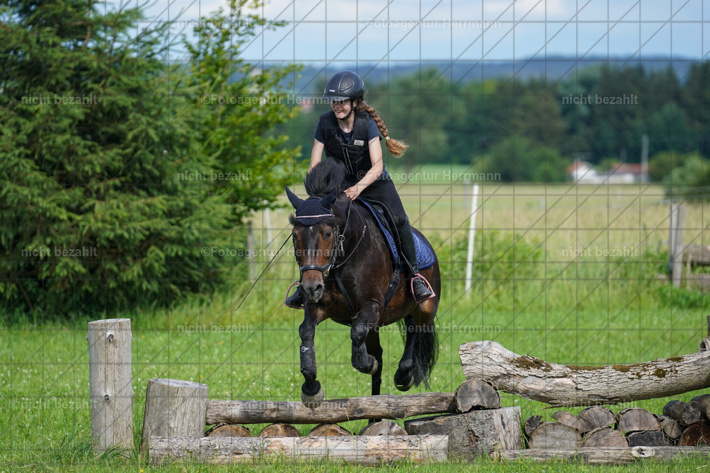 20240622-FAH08058 | Turnierfotografen Bayern, Reitsportbilder aus dem Geländekurs mit Felix Etzel auf dem Gut Waitzacker 2024