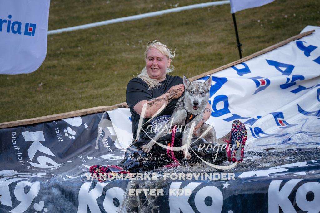 _ZZ911590912 | kk-dogfotos