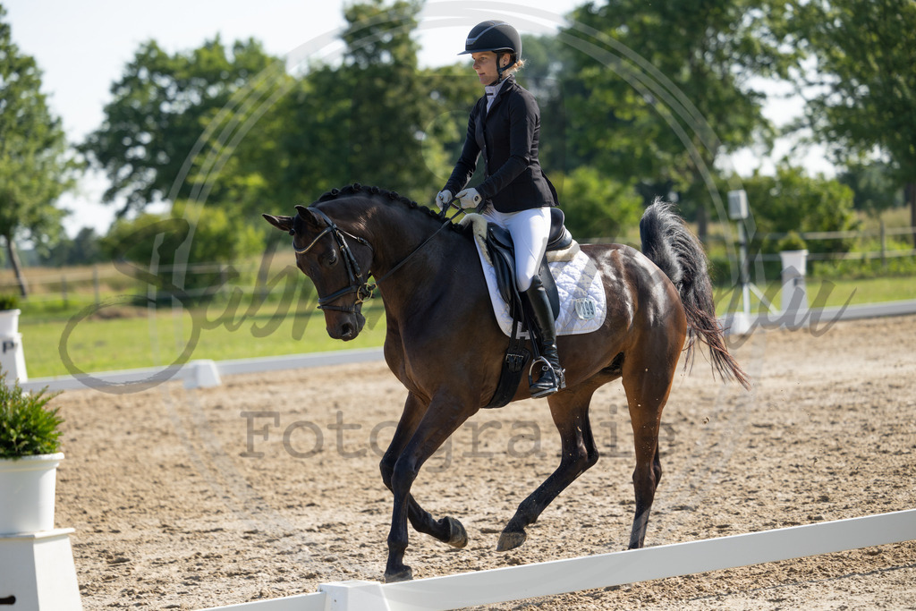 994A4178 | sabrinanicolaifotografie - Realisiert mit Pictrs.com